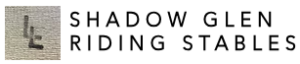 presenting sponsor logo